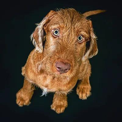 Die "wilde" Hilde ist da!